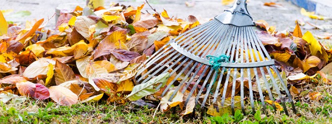 Nachbarrecht 09.2025